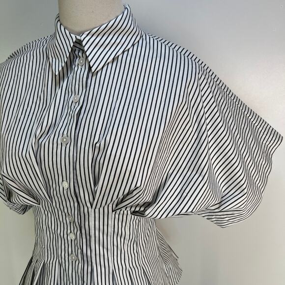 Anthropologie Exquise Maven Button-Front Pleated Shirt Dress Stripe - Picture 2 of 10